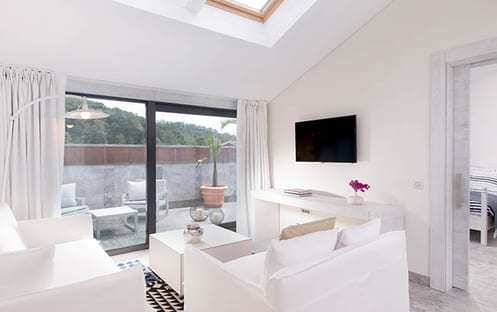 Attic Suite with Terrace